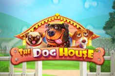 Play The Dog House slot at Pin Up