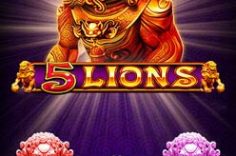 Play 5 Lions slot at Pin Up