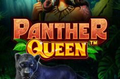 Play Panther Queen slot at Pin Up