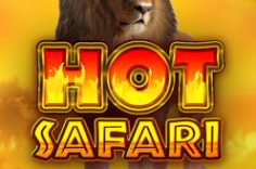 Play Hot Safari slot at Pin Up