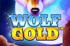 Play Wolf Gold slot at Pin Up