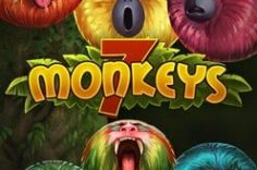 Play 7 Monkeys slot at Pin Up